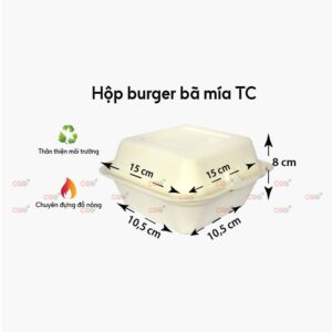 Hộp burger bã mía cao cấp