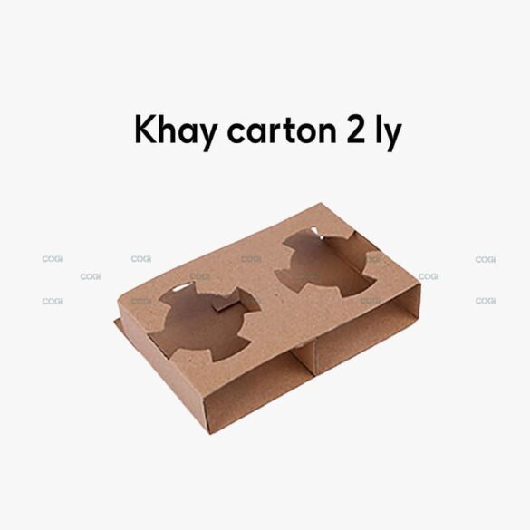 khay-carton-2-ly-cpt2