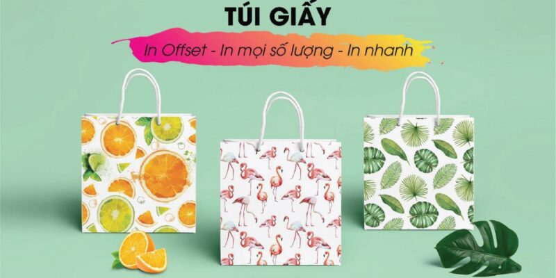 IN TÚI GIẤY GIÁ RẺ 5 in-tui-giay-gia-re (6)