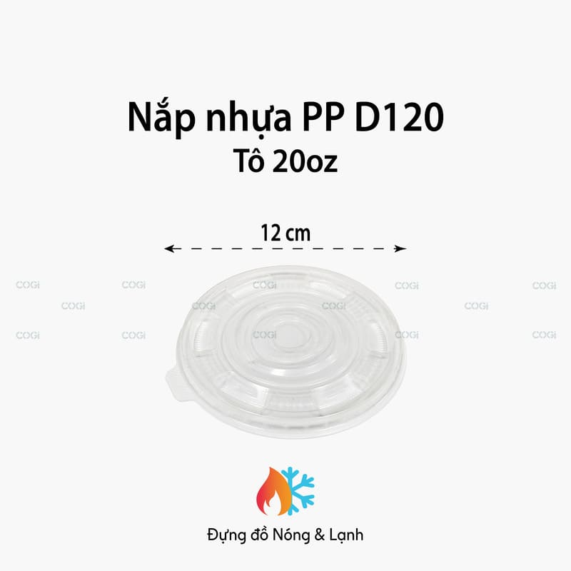 nap-nhua-pp-d120