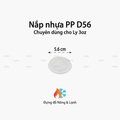 nap-nhua-pp-d56